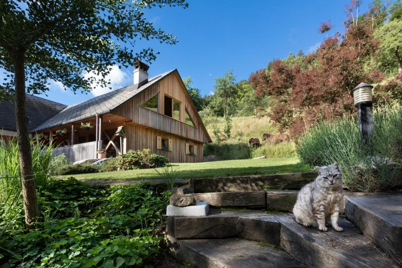Homestead Farm Tesnak Gorenja Vas  ภายนอก รูปภาพ